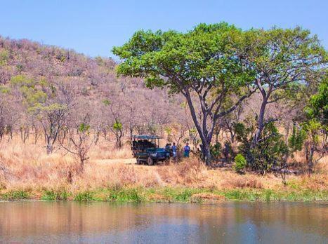 Metsi Lodge ヴェルハヴォンデン・ゲーム・リザーブ エクステリア 写真